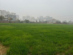  Land For Sale in Sector 106
