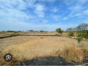 Plot Area in  Land at Chirle – for Sale