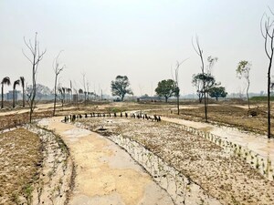 Plot Area in  Plot at Mohanlalganj – for Sale