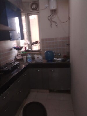 Kitchen in 3 BHK Builder Floor at Unitech South City II, Sector 50 – for Rent