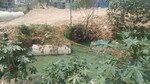 72000 Sq.Ft. Industrial Plot in High Grounds