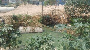  Industrial Plot For Sale in High Grounds