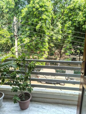 Balcony in 2 BHK Builder Floor at Sector 39 – for Rent