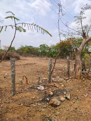 Plot Area in  Land at Brahmanapalle – for Sale