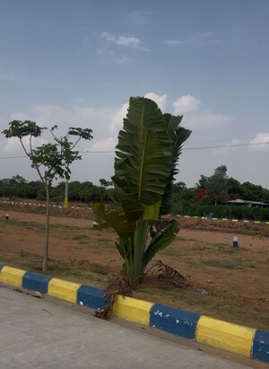  Plot For Sale in Champapet