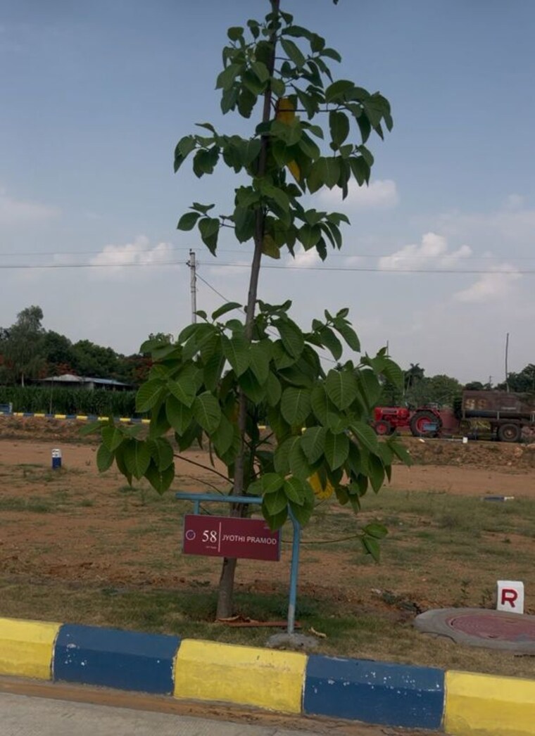 undefined, champapet  300 Sq.Ft. Plot In Champapet Hyderabad 10443688