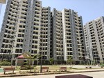3 BHK 750 Sq.Ft. Apartment in Conscient Habitat Prime