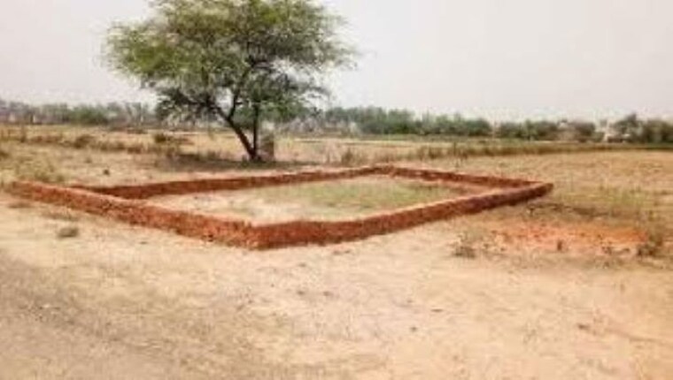 undefined, sector 65  60 Sq.Yd. Plot In Sector 65 Faridabad 10444088