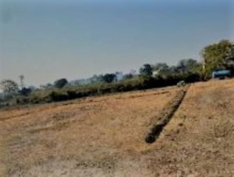undefined, sector 65  36 Sq.Yd. Plot In Sector 65 Faridabad 10444118