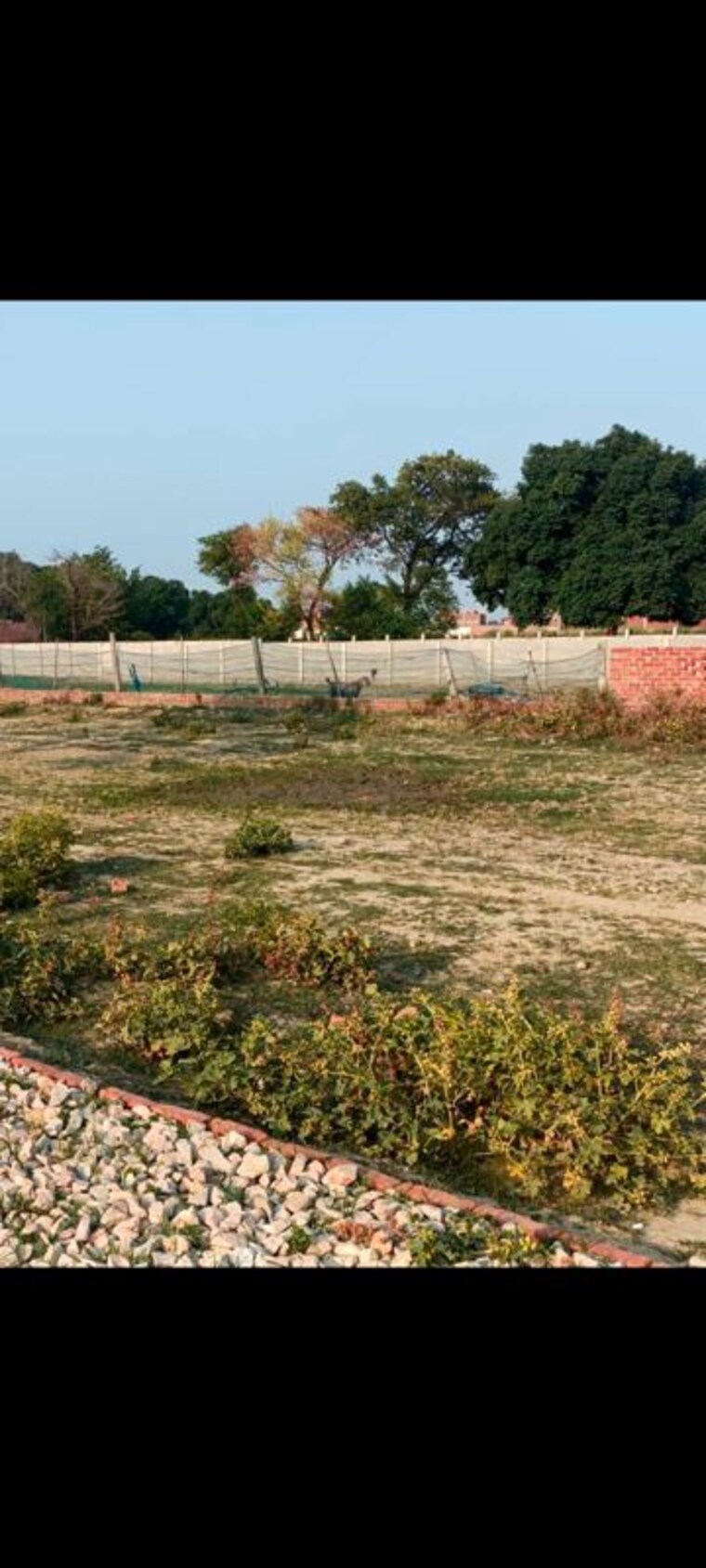 undefined, ahmamau  1600 Sq.Ft. Plot In Ahmamau Lucknow 10444130