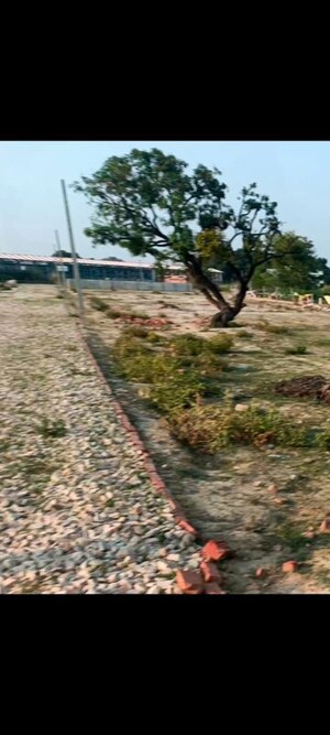 Plot Area in  Plot at Ahmamau – for Sale