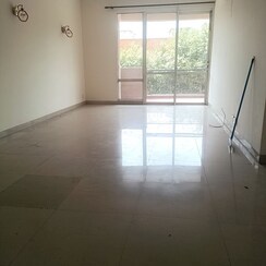 3 BHK + Study Room Apartment For Rent in Orchid Petals