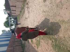  Plot For Sale in Bihta