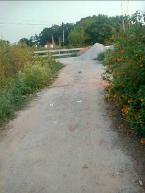 Plot Area in  Plot at Lalbagh – for Sale