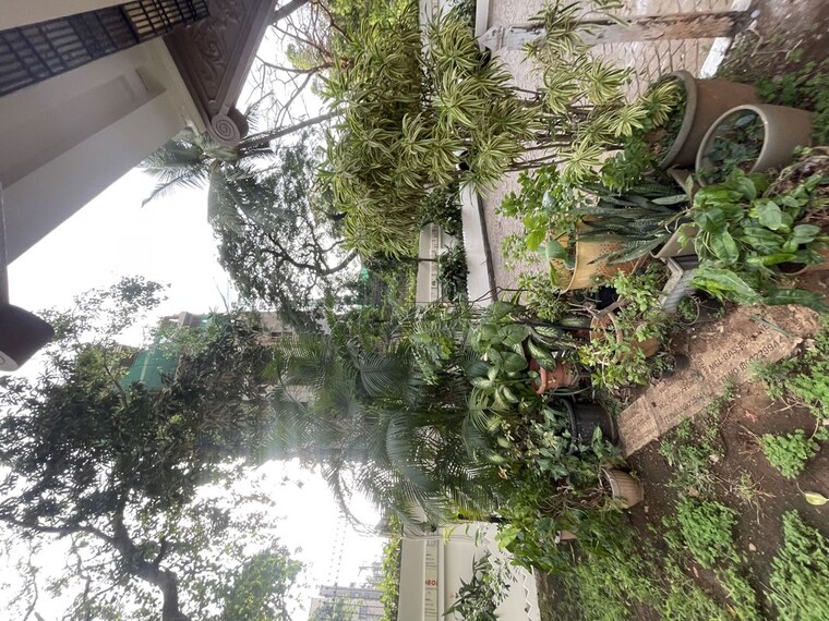 Garden, regency-terrace 3 Bedroom 2200 Sq.Ft. Apartment In Khar West Mumbai 10444572