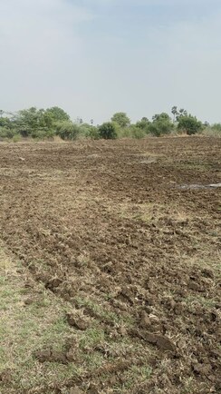 Plot For Sale in Poranki