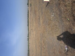 Plot Area in  Plot at Poranki – for Sale