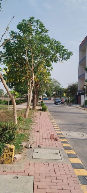 Plot – Exterior View View at Omaxe City - Omaxe Heights, Sector 97 - for Sale