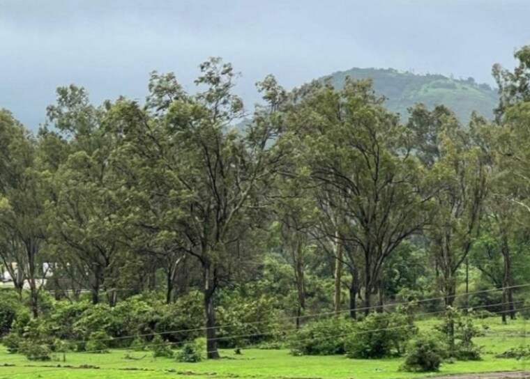 Garden, lonavala  5000 Sq.Ft. Plot In Lonavala Pune 10444935
