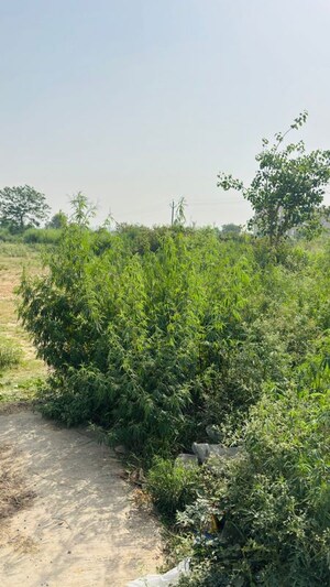 Plot Area in  Plot at Ansal Api Aquapolis, Dundahera – for Sale