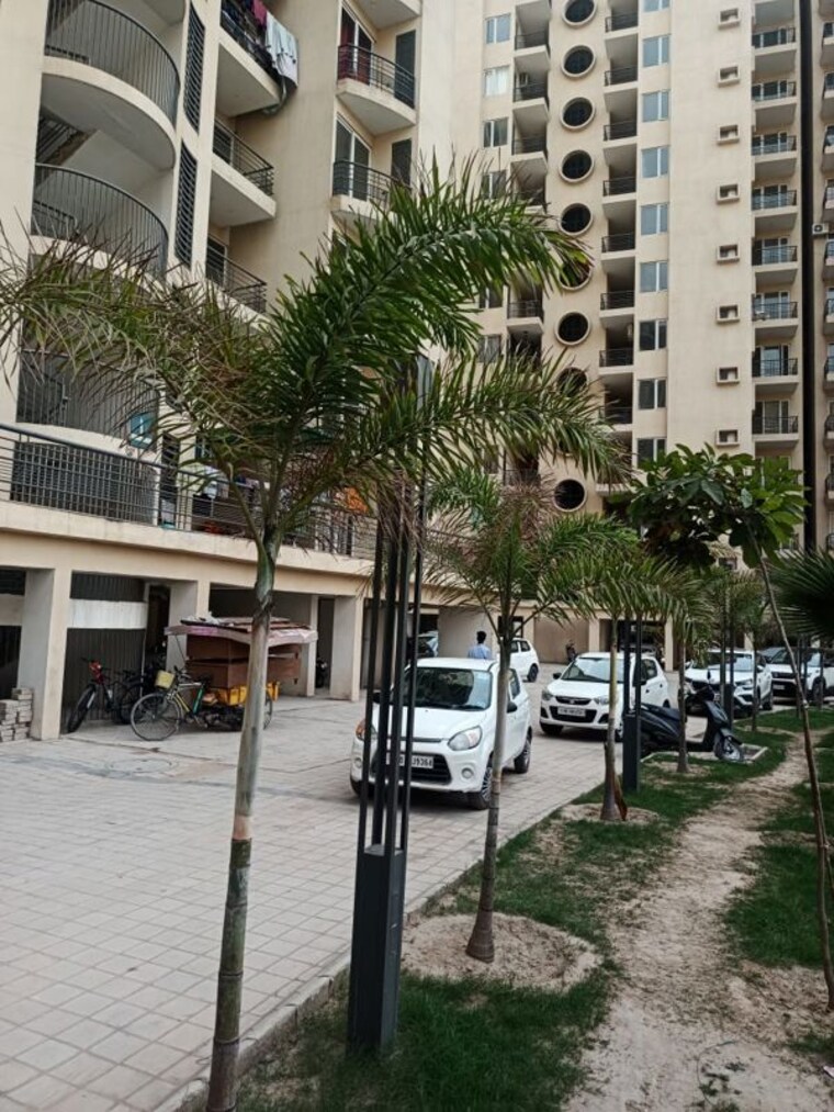 Exterior View, the-address-mullanpur 3 Bedroom 1200 Sq.Ft. Apartment In North Mullanpur Chandigarh 10445649