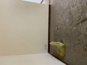 Room in 3 BHK Apartment at Bptp Park Floors I, Sector 77 – for Rent