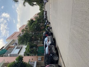 3 BHK Apartment For Rent in Bptp Park Floors I, Sector 77