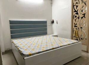 1 BHK Apartment For Rent in Stellar Mi Citihomes, Omicron Iii Greater Noida