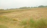 242 Sq.Yd. Land in Turkapally