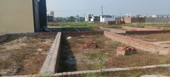 Plot For Sale in Thapar Nagar