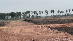 Plot For Sale in Vuyyuru