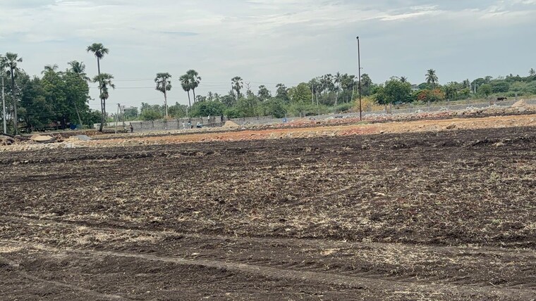 undefined, vuyyuru  201 Sq.Yd. Plot In Vuyyuru Vijayawada 10446516