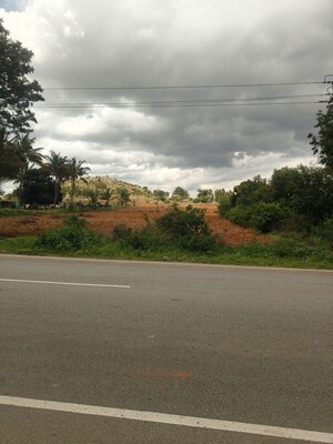 Plot Area in  Land at Eden Park At The Prestige City, Sarjapur Road – for Rent