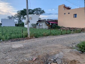  Plot For Sale in Badripur