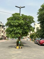 3 BHK + Pooja Room 1600 Sq.Ft. Builder Floor in Ferrous City Phase I