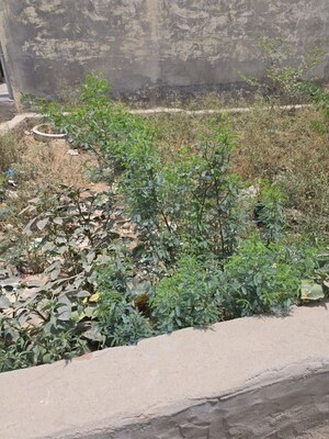 Plot Area in  Plot at New Palam Vihar Phase 1 – for Sale