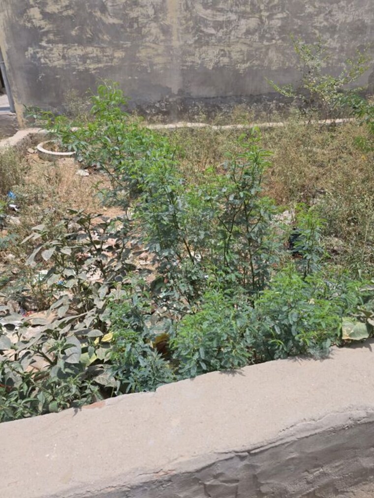 undefined, new palam vihar phase 1  104 Sq.Yd. Plot In New Palam Vihar Phase 1 Gurgaon 10446975