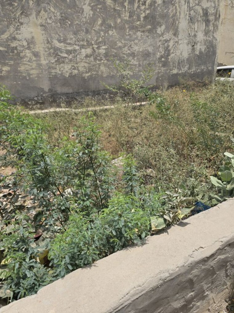 undefined, new palam vihar phase 1  104 Sq.Yd. Plot In New Palam Vihar Phase 1 Gurgaon 10446975