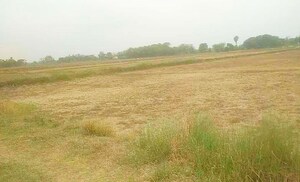Plot Area in  Plot at Shadnagar – for Sale