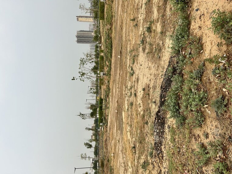 Exterior View, jacobpura Commercial Land 720 Sq.Ft. In Jacobpura Gurgaon 10447219