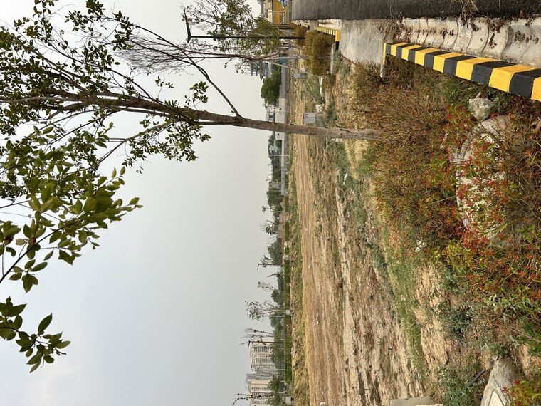 Garden, jacobpura Commercial Land 720 Sq.Ft. In Jacobpura Gurgaon 10447219