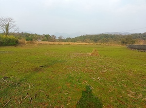  Plot For Sale in Dronagiri