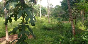  Plot – Exterior View View at Chittumala - for Sale