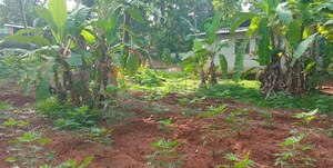  Plot For Sale in Chittumala