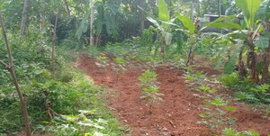 Plot Area in  Plot at Chittumala – for Sale