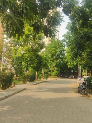 3 BHK Apartment – Exterior View View at Amrapali Grand, Zeta I Greater Noida - for Sale
