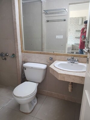 Bathroom in 1 BHK Apartment at Ace Enclave, Ghodbunder Road – for Rent