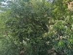3.5 BHK + Store Room 1550 Sq.Ft. Apartment in Jawahar Nagar