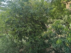 3.5 BHK + Store Room Apartment For Sale in Jawahar Nagar