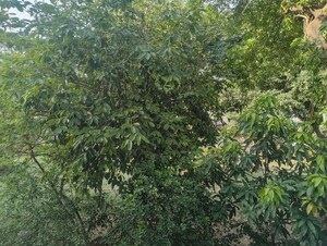3.5 BHK Apartment For Sale in Jawahar Nagar